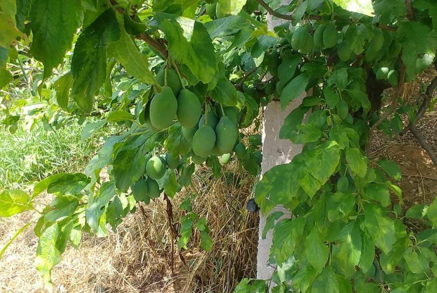 received_10216164943811417