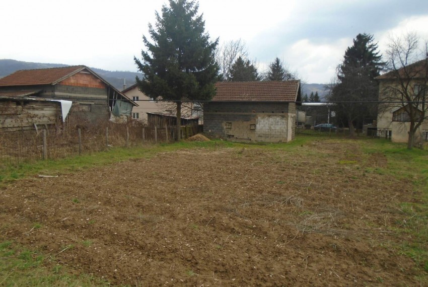 ilijas (14)