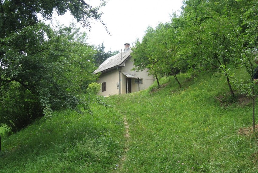 DOLACKA-02