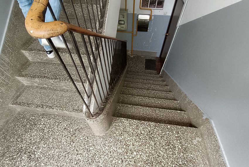 1000095239