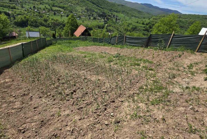 Kijevo (22)