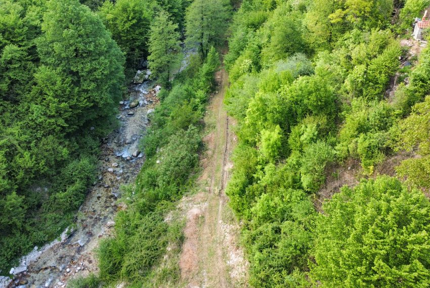 KONJIC (3)