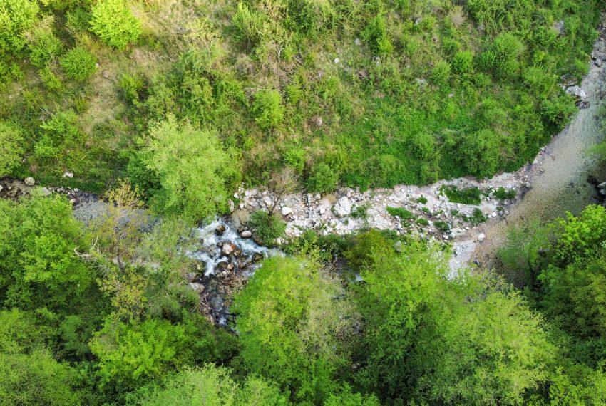 KONJIC (7)